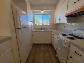 5560 E Bellevue St in Tucson, AZ - Building Photo - Building Photo