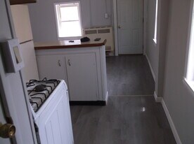 413 W Court St, Unit Rear in Rome, NY - Building Photo