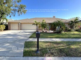 4443 Bardsdale Dr in Palm Harbor, FL - Building Photo