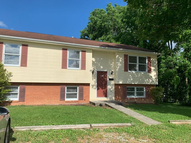809 2nd Ave in Radford, VA - Building Photo - Building Photo