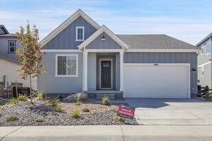 4189 Ridgewalk Pt in Castle Rock, CO - Building Photo
