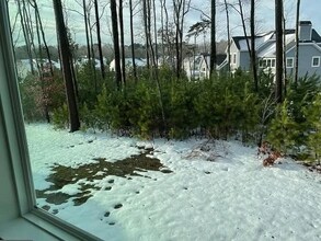 30309 Piping Plover Dr in Millsboro, DE - Building Photo - Building Photo