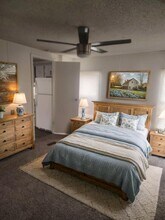 38 Cotton Bayou Cir in Cove, TX - Building Photo - Building Photo