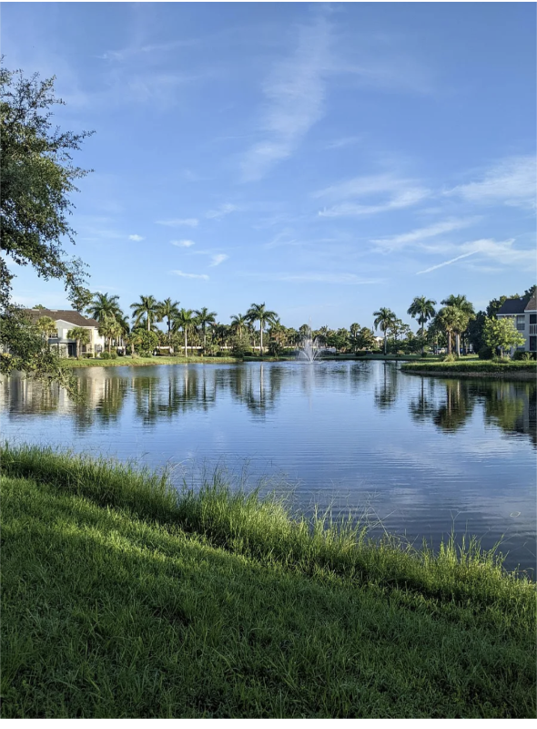 property at 201 Santa Clara Dr