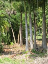 27470 Palmesta Circle, Unit 29 in Bonita Springs, FL - Foto de edificio - Building Photo