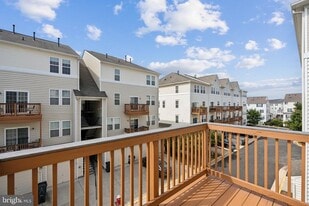 24682 Lynette Spgs Ter in Aldie, VA - Building Photo