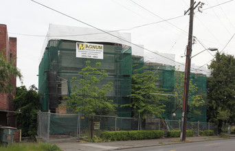 Belmont Terrace in Seattle, WA - Building Photo - Building Photo