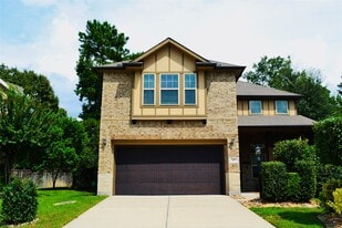119 Red Eagle Ct in Montgomery, TX - Building Photo