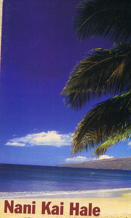 73 N Kihei Rd in Kihei, HI - Building Photo