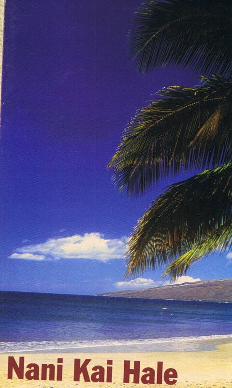 property at 73 N Kihei Rd