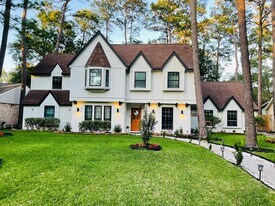 18014 Vintage Wood Ln in Spring, TX - Building Photo