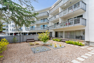 Hutton Terrace Apartments in Belmont, CA - Building Photo - Building Photo