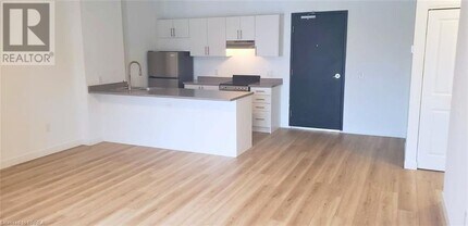 252 Catharine St N in Hamilton, ON - Building Photo - Building Photo