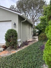 1005 Goshen Rd in Tarpon Springs, FL - Building Photo - Building Photo