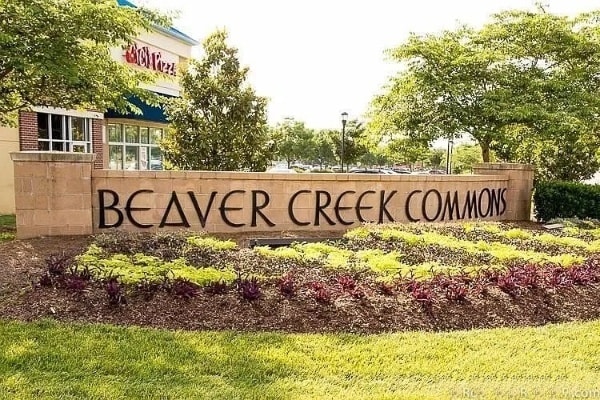 2230 Chattering Lory Ln in Apex, NC - Foto de edificio - Building Photo