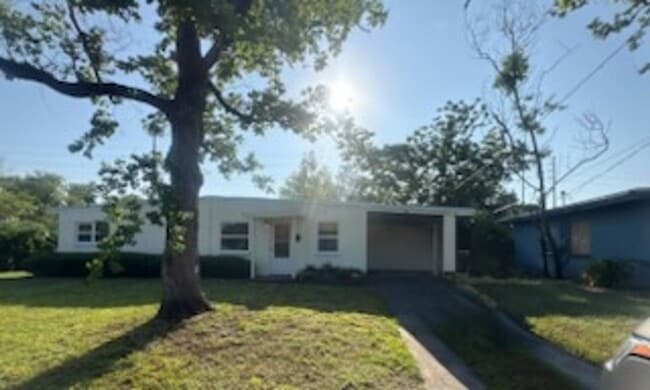 property at 247 Cocos Dr