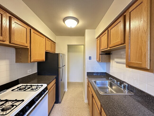 533 W Aldine Ave in Chicago, IL - Building Photo - Building Photo