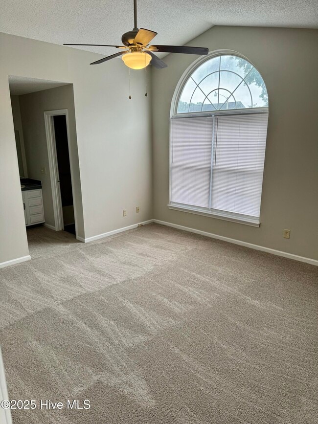3410 Evans St in Greenville, NC - Foto de edificio - Building Photo