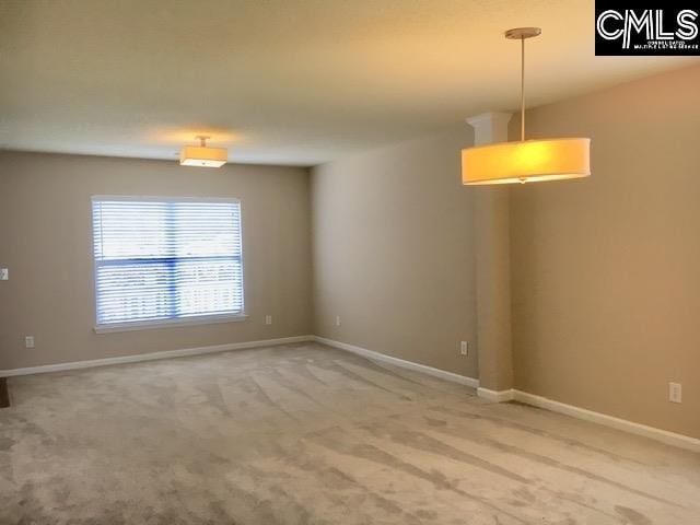 153 Pennsylvania Ct in Chapin, SC - Building Photo - Building Photo