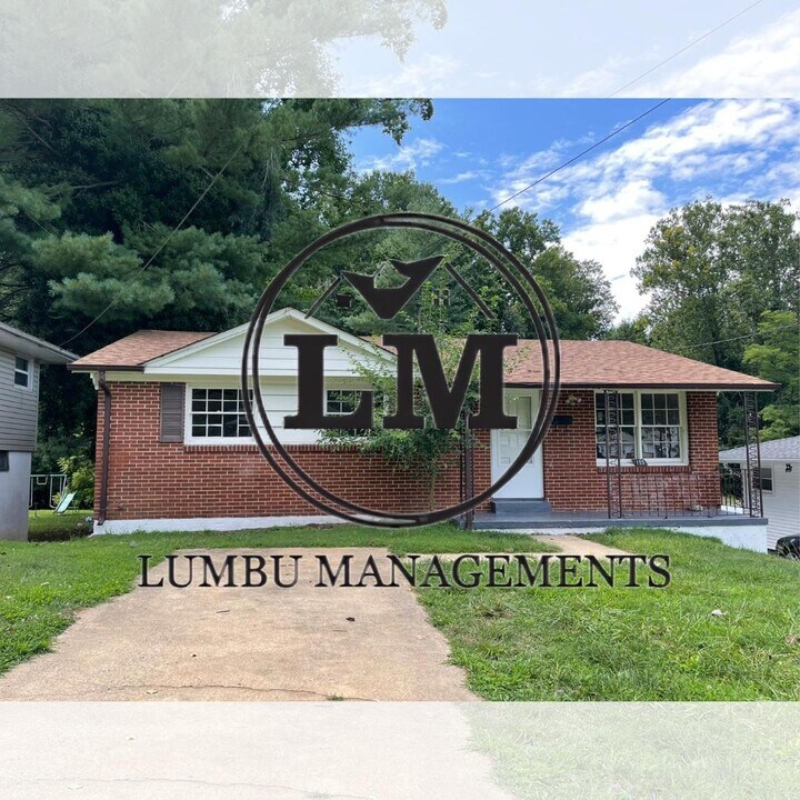 155 Lowell St in Danville, VA - Building Photo