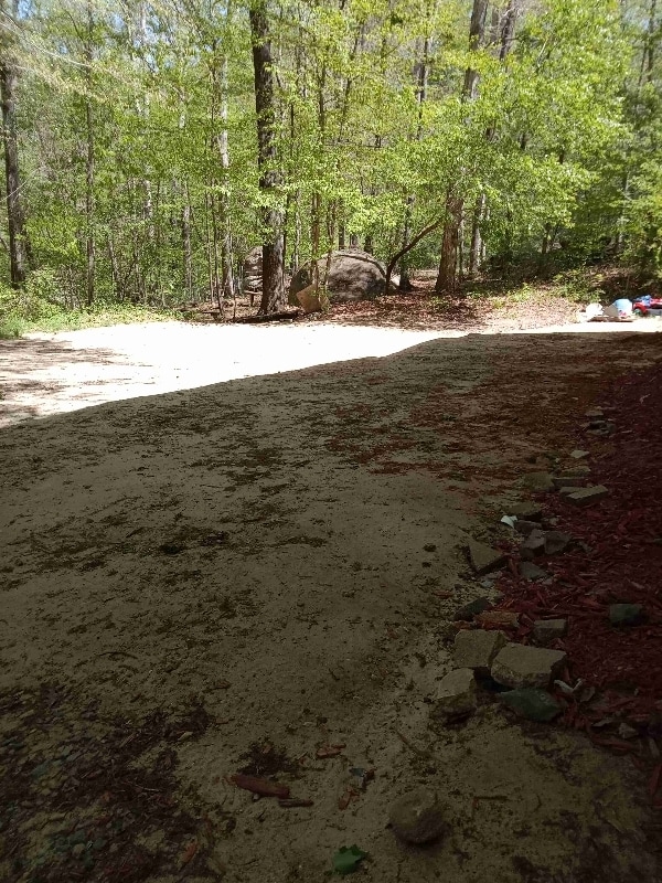 property at 943 Boss Hardy Rd