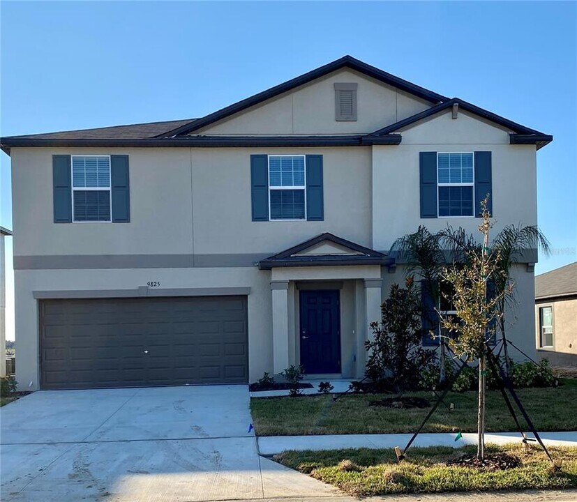 9825 Branching Ship Trce in Wesley Chapel, FL - Building Photo