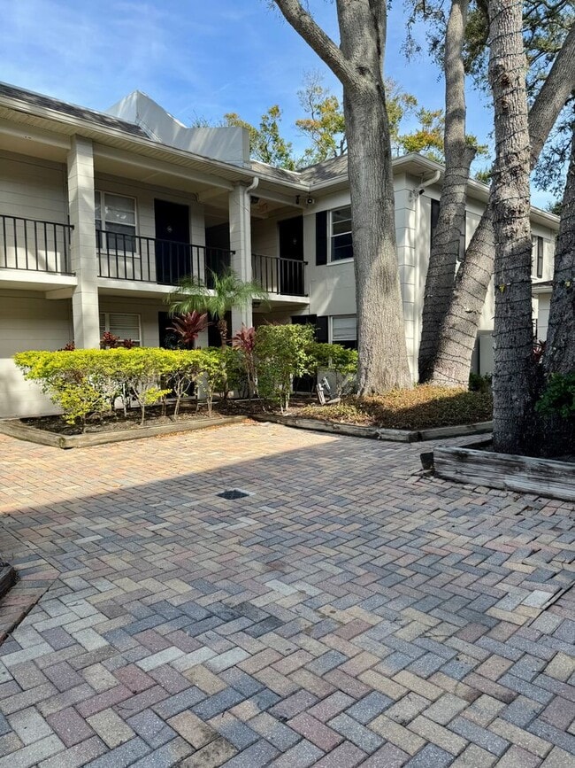 5221 Bayshore Blvd in Tampa, FL - Building Photo - Building Photo