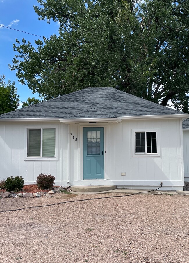 property at 705 Cheesman St