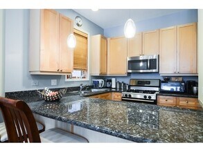 1051 N Wolcott Ave, Unit 1051 Wolcott in Chicago, IL - Foto de edificio - Building Photo