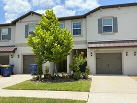 10443 Lavender Aster Trl in San Antonio, FL - Building Photo