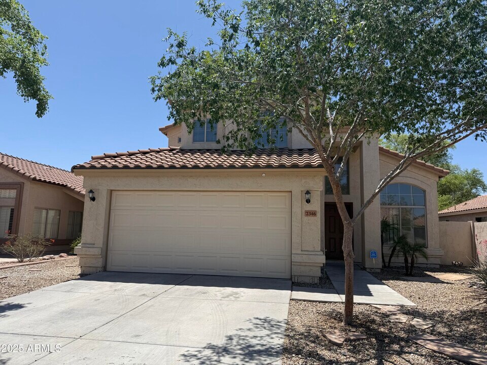2346 S Navajo Way in Chandler, AZ - Building Photo
