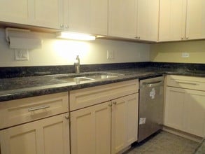 1000 E 53rd St, Unit 211 in Chicago, IL - Building Photo - Building Photo