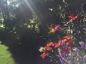 1426 Orca St, Unit 3 in Anchorage, AK - Foto de edificio - Building Photo