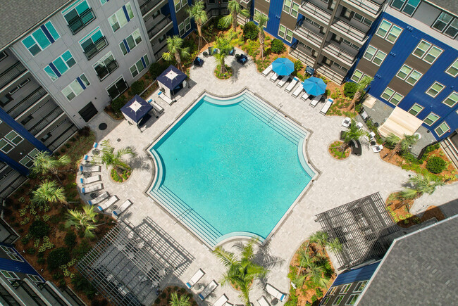 Jack on Beach in Jacksonville, FL - Foto de edificio - Building Photo