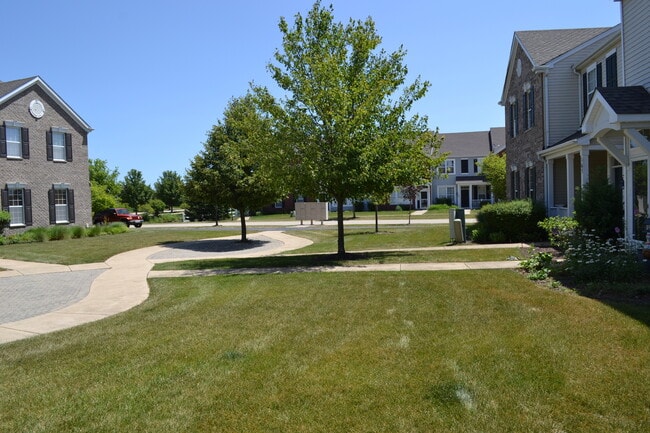 169 Springbrook Trail S in Oswego, IL - Building Photo - Building Photo