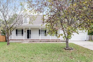 141 Bill Stewart Blvd in La Vergne, TN - Building Photo