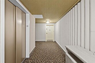 4141 Bayshore Blvd in Tampa, FL - Building Photo - Building Photo