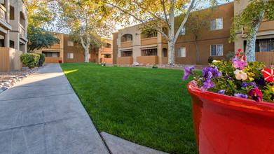 Tanglewood in Tucson, AZ - Foto de edificio - Building Photo