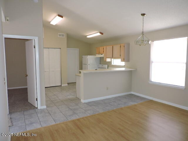 8710 Pinevalley Ln in Jacksonville, FL - Building Photo - Building Photo