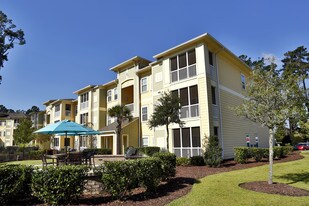 Wellington Apartments For Myrtle Beach Sc Laude The Commons Apartments