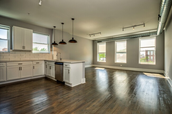 2007 S Allport St in Chicago, IL - Building Photo - Building Photo