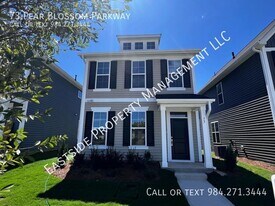 73 Pear Blossom Pkwy in Clayton, NC - Building Photo