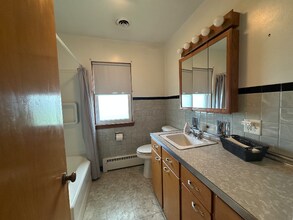 421 W South St in Peotone, IL - Building Photo - Building Photo