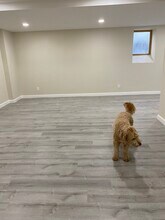 968 Cinnabar St, Unit Studio in San Jose, CA - Foto de edificio - Building Photo