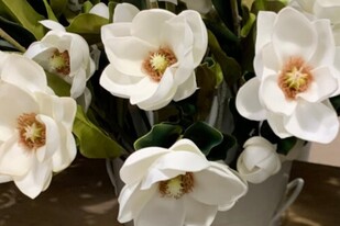 Magnolias on Stinson Apartamentos