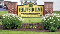 Yellowbud Place Apartments