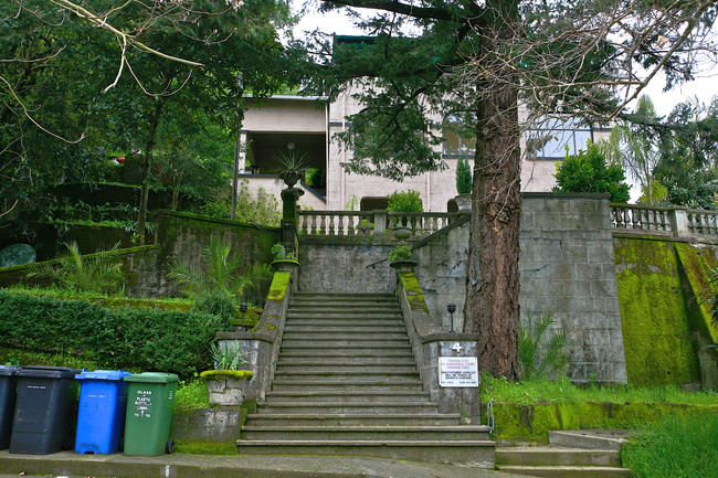 4 Greenfield Ct in San Anselmo, CA - Foto de edificio - Building Photo