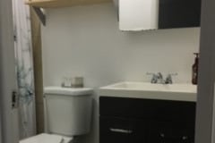 488 E 5th Ct, Unit B in Des Plaines, IL - Foto de edificio - Building Photo