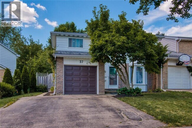 37 Glen Avon Crescent in Kitchener, ON - Building Photo - Building Photo