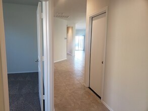 37698 W Capri Ave in Maricopa, AZ - Building Photo - Building Photo